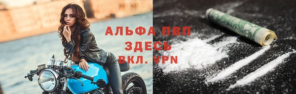сатива Елабуга