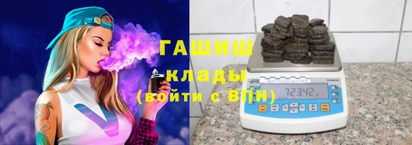 spice Ельня
