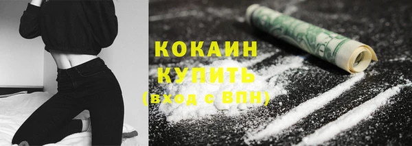 сатива Елабуга