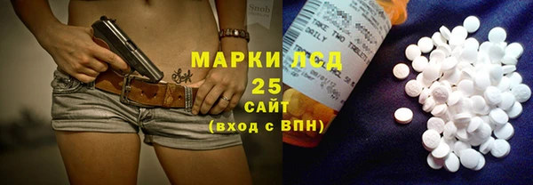 сатива Елабуга