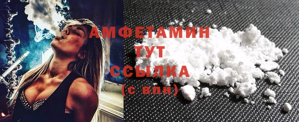 сатива Елабуга