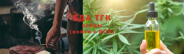сатива Елабуга