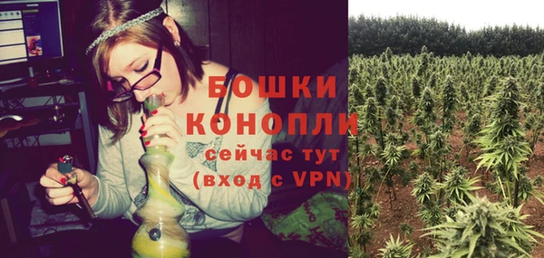 сатива Елабуга