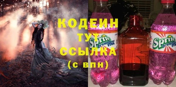 spice Ельня