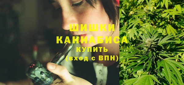 сатива Елабуга