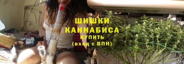 spice Ельня