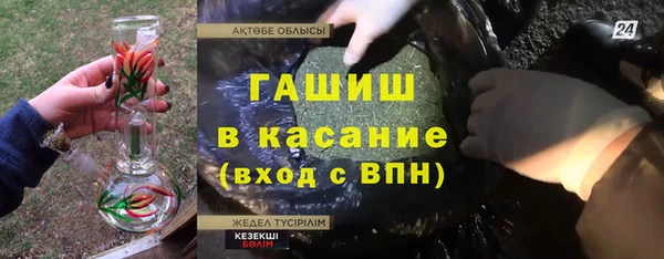 сатива Елабуга