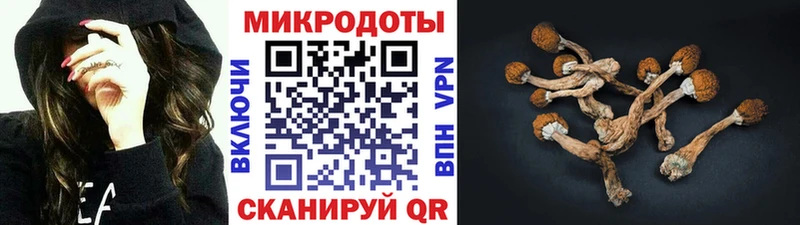 Псилоцибиновые грибы мицелий  Купить закладки  Можга 